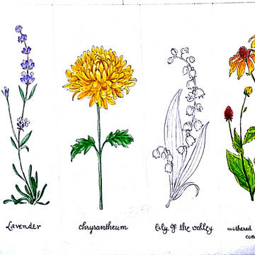 flora