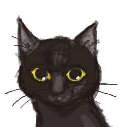 まうすで猫