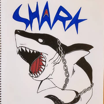 ⛓🦈SHARK🦈⛓