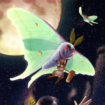 Fly me to the Moon