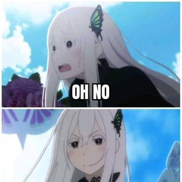 random echidna