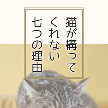 ○が構ってくれない七つの理由