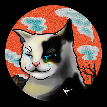 sad cat