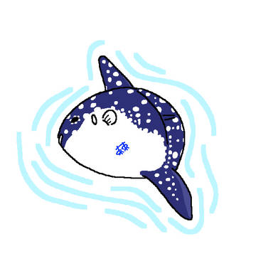 カクレマンボウ