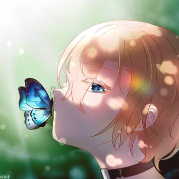 Butterfly.