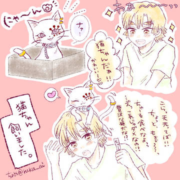 猫チャンを拾ったら人間になった話