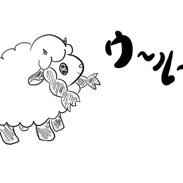 ウールー！