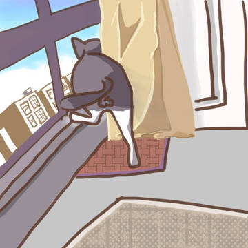 猫