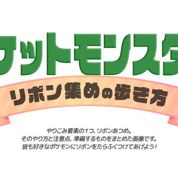 ポケットモンスターシリーズ　リボン集めの旅の栞