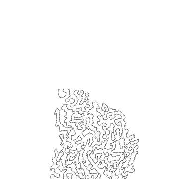 mind