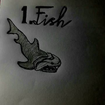 Day 1: Fish