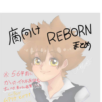 REBORN詰め合わせ【腐向け】