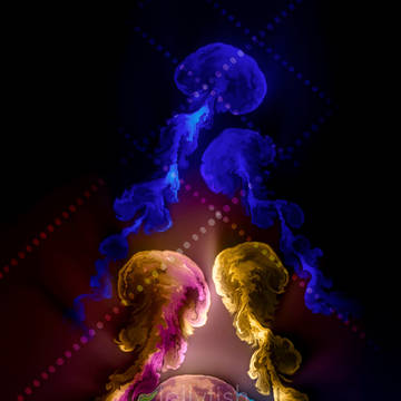 Jellyfish