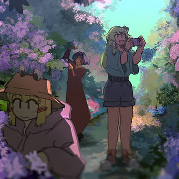 hydrangea