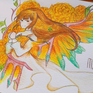 Marigold