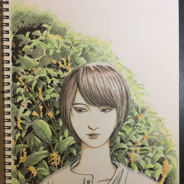秋光