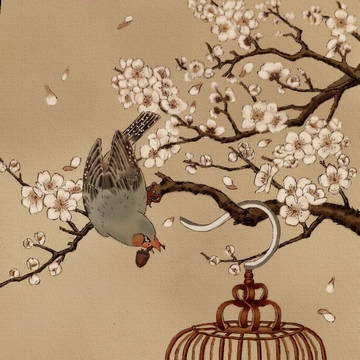 鳥