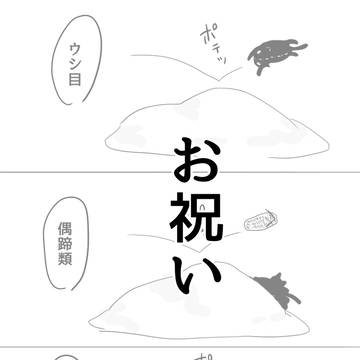 お祝い