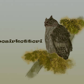 mosirkottori