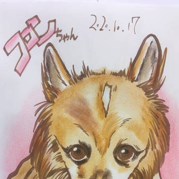 コロンちゃん