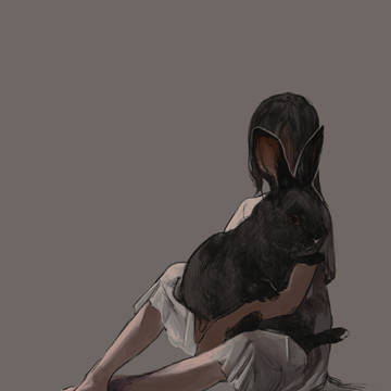 rabbit