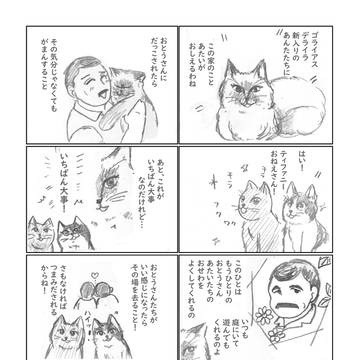おねえたまの新人教育