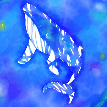 クジラと星