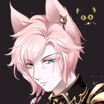 FF14 猫男