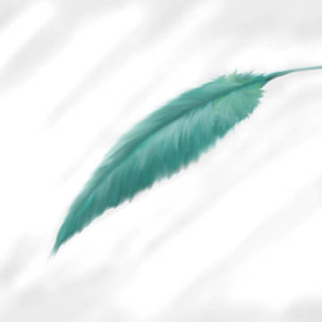 羽