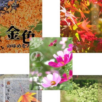小説用フリー素材#3