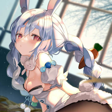 ウサギ小屋