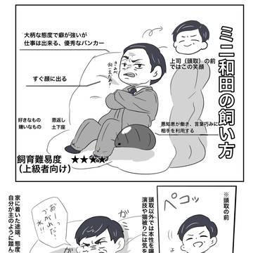 ミニ和田