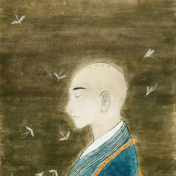蜉蝣