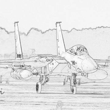 F15