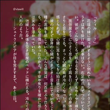 人形あそび(※ヴラウィル)