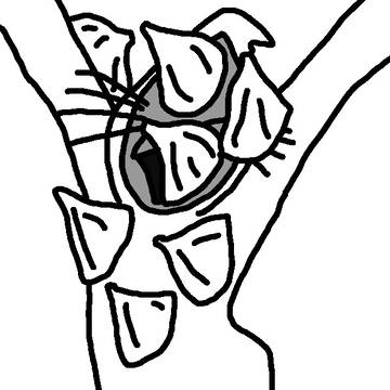 妖花に襲われるねずみ男
