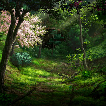 桜が自生する山奥の廃トンネル