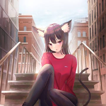 路地猫