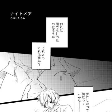 ゾロサン本『ナイトメア』