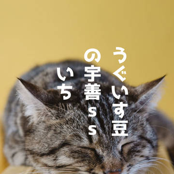 うぐいす豆の宇善ss まとめ いち