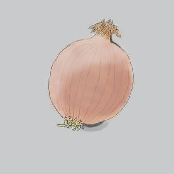 好吃的洋蔥