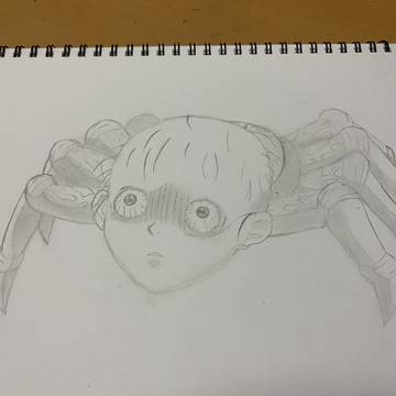 人面蜘蛛