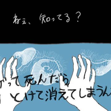 クラゲェ