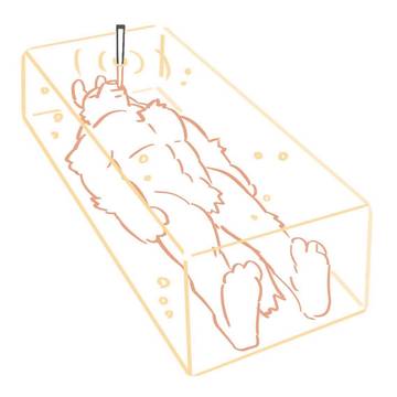 詰め合わせ