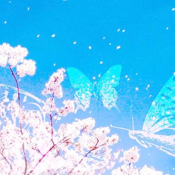 春夏秋冬-背景画像