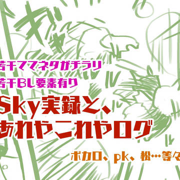 Sky実録と、あれやこれやログ