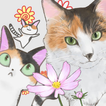我が家の三毛猫