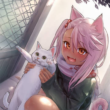 kuro cat
