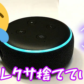 今日の動画のサムネイル