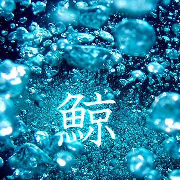 【DB】鯨